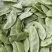【实力推荐】江苏茶豆/扁豆//视频看货/对接商超批发市场
