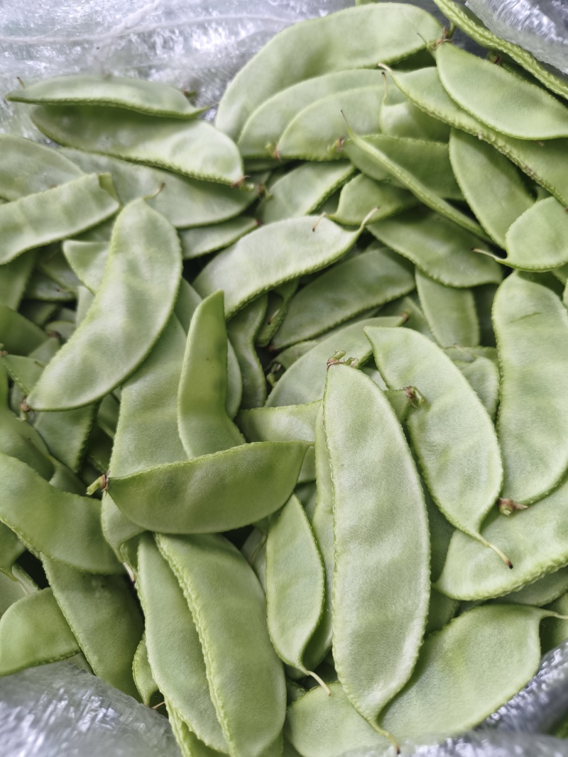 【实力推荐】江苏茶豆/扁豆//视频看货/对接商超批发市场