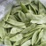 【实力推荐】江苏茶豆/扁豆//视频看货/对接商超批发市场