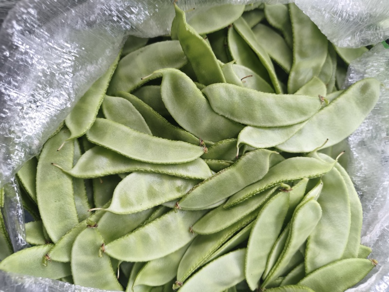 【实力推荐】江苏茶豆/扁豆//视频看货/对接商超批发市场