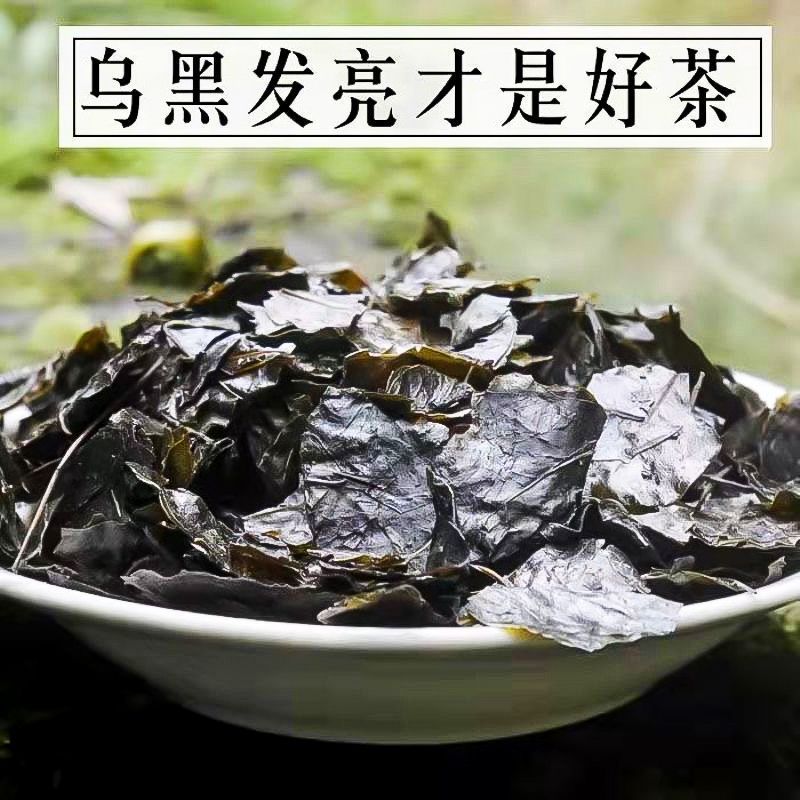 贵州遵义大叶苦丁茶