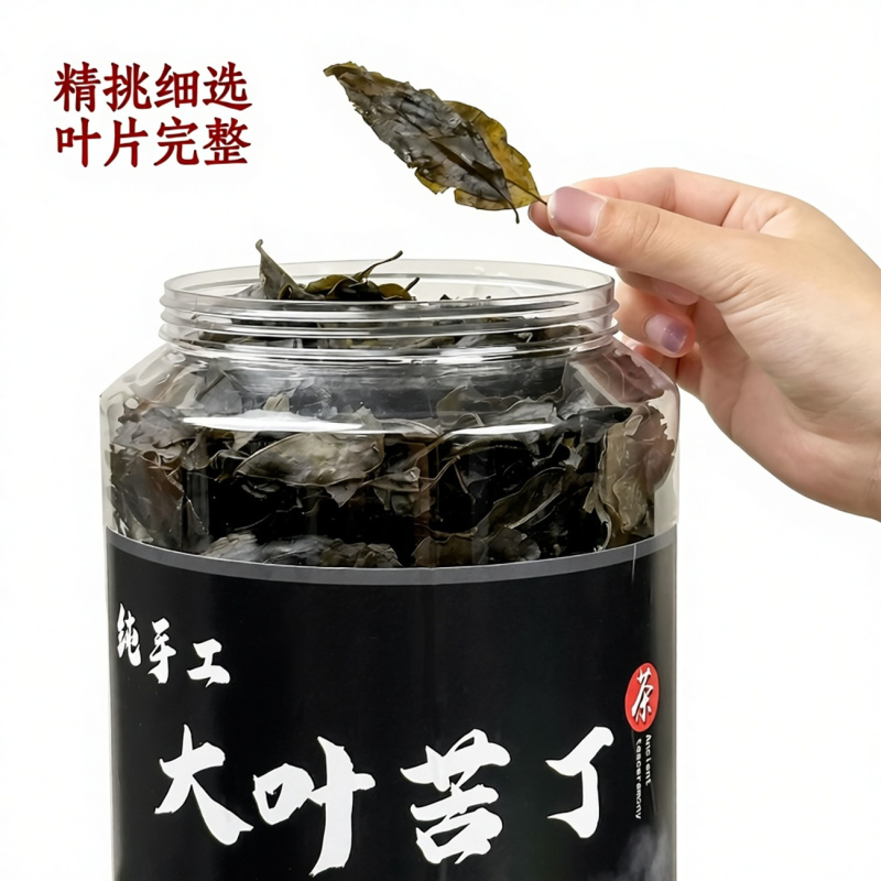 贵州遵义大叶苦丁茶