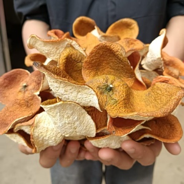 瑞润柑陈皮！2025年冬后大红陈皮！甘香润甜！没有苦味