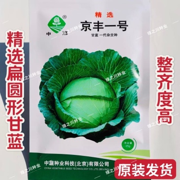 京丰一号甘蓝种子扁圆卷心菜种籽春秋大头莲花白扁包菜种子