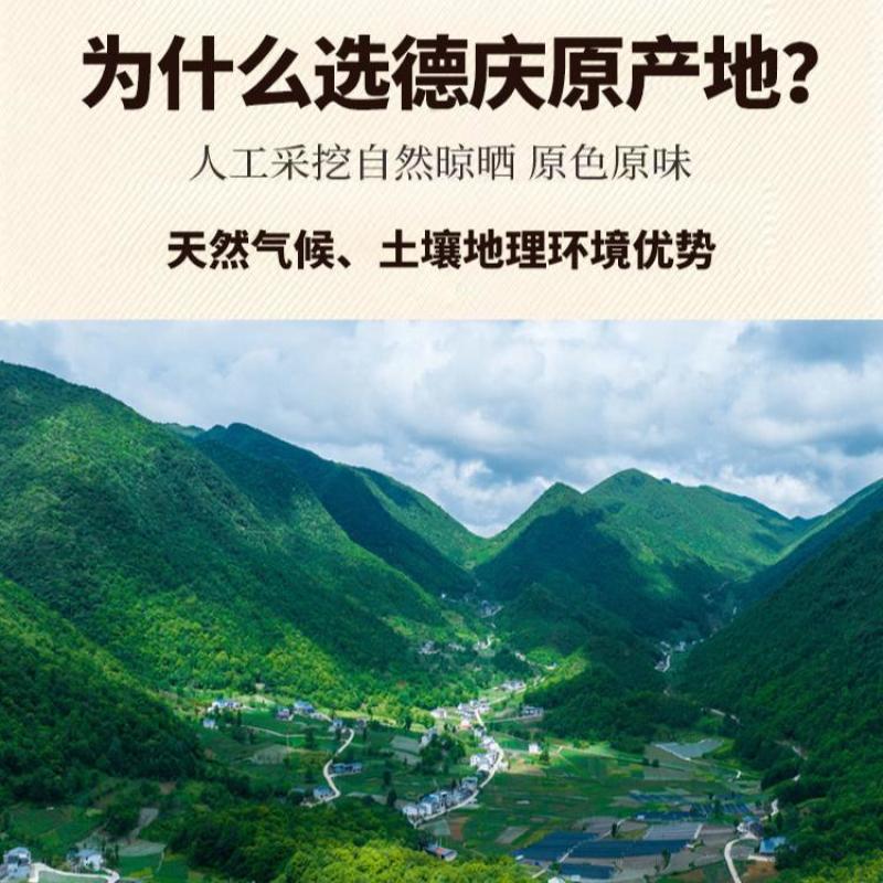 广东德庆巴戟干新鲜干货正品各种等级货批发零售德庆直发