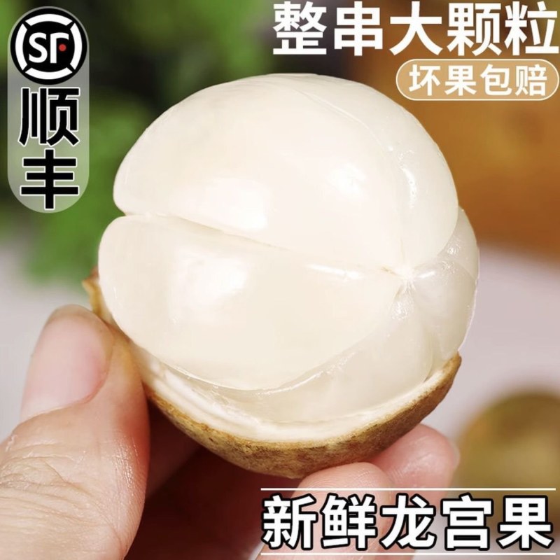 龙宫果[顺丰包邮]支持一件代发
