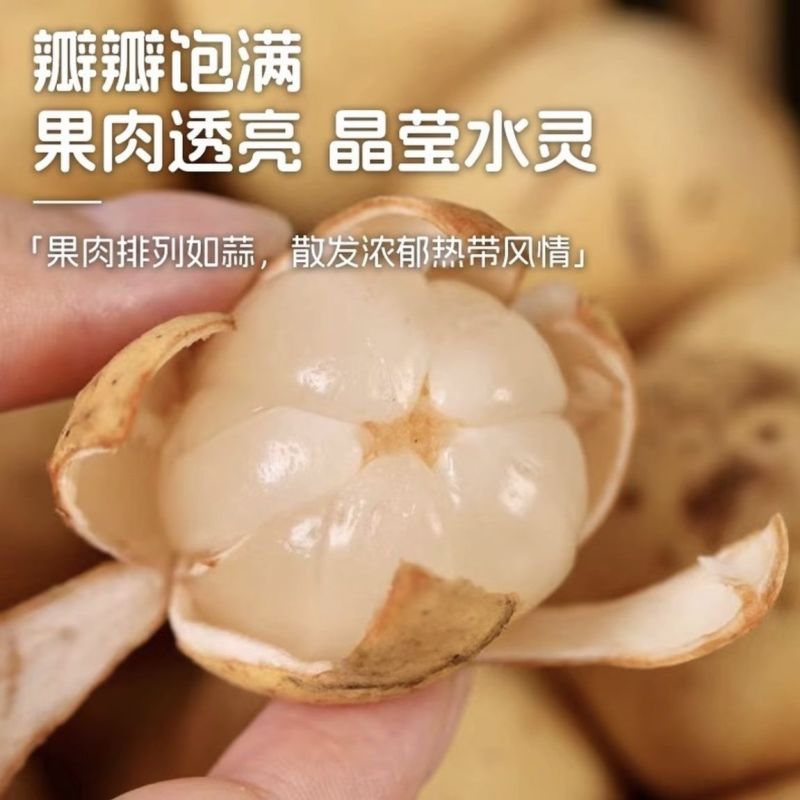 龙宫果[顺丰包邮]支持一件代发