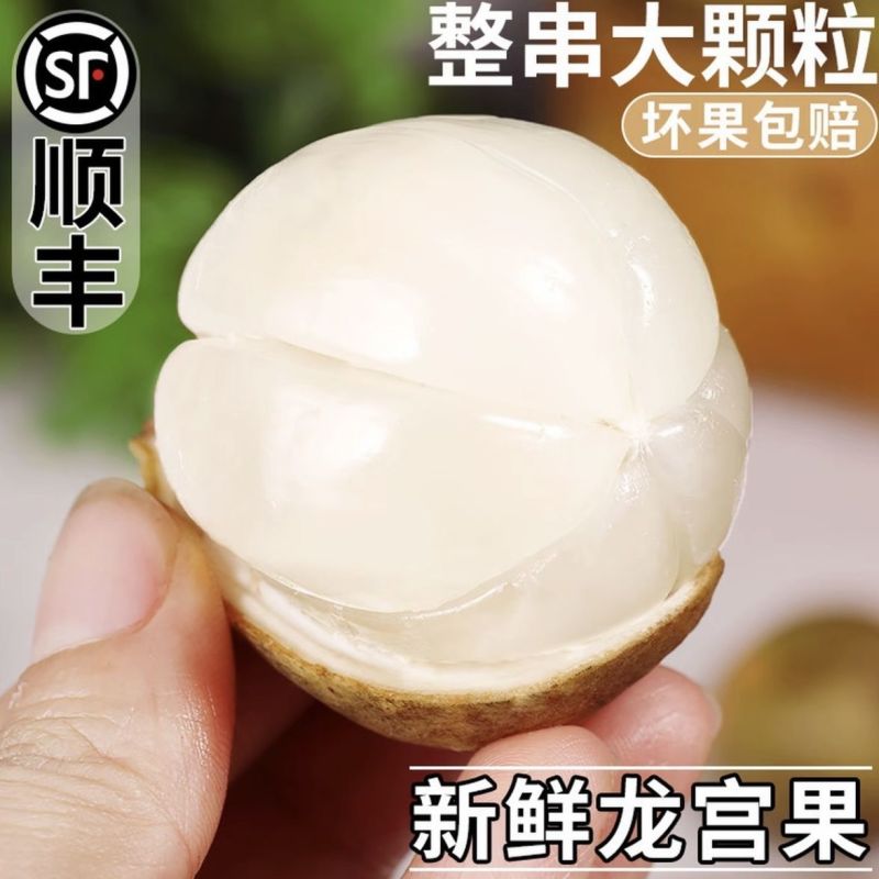 龙宫果[顺丰包邮]支持一件代发