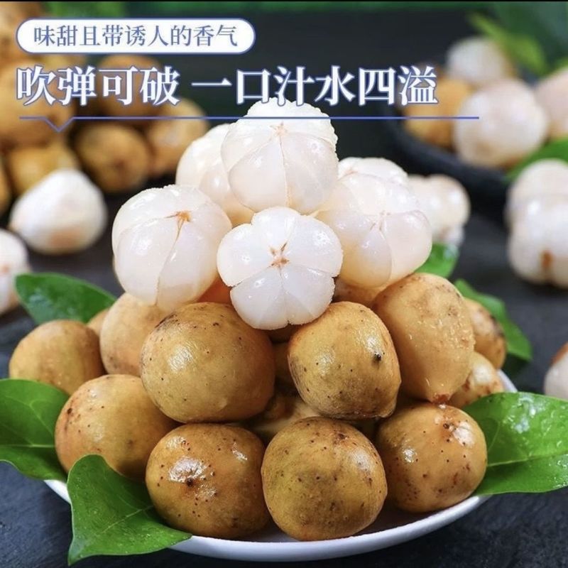 龙宫果[顺丰包邮]支持一件代发