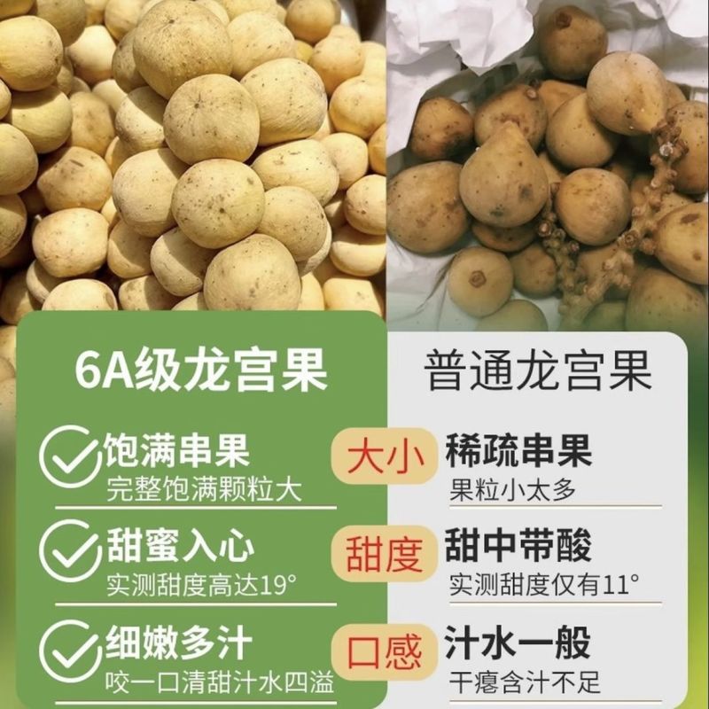 龙宫果[顺丰包邮]支持一件代发