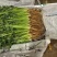 30年***香菜大王！山东寿光志东香菜！