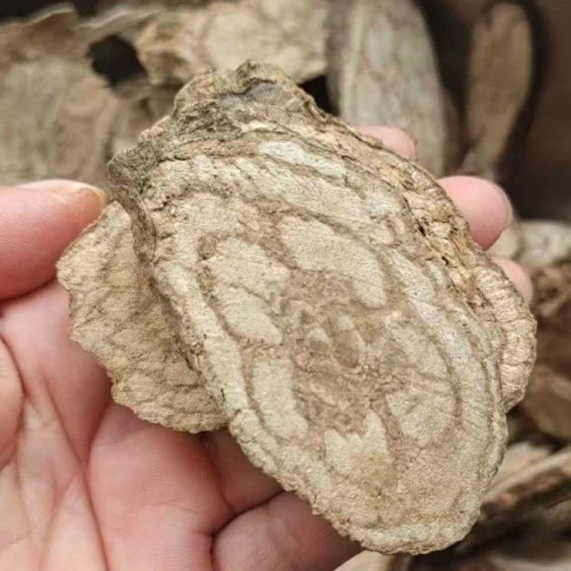 丁公藤中药材正品丁公藤无硫***正品质保证