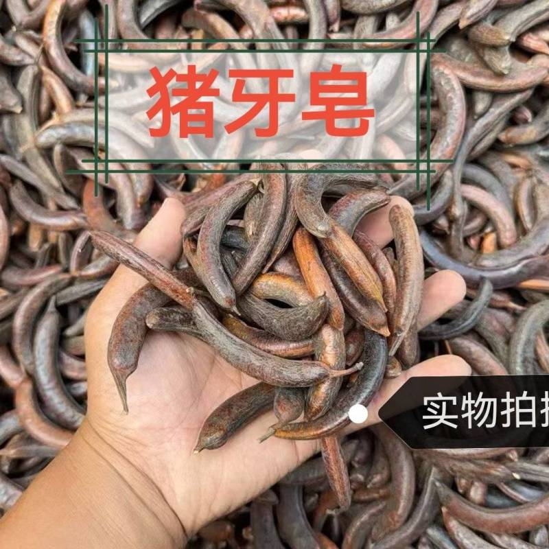 猪牙皂中药材正品猪牙皂无硫正品保证猪牙皂