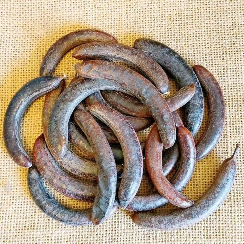 猪牙皂中药材正品猪牙皂无硫正品保证猪牙皂
