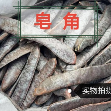 皂角中药材正宗皂角干皂角粉大皂角真材实料