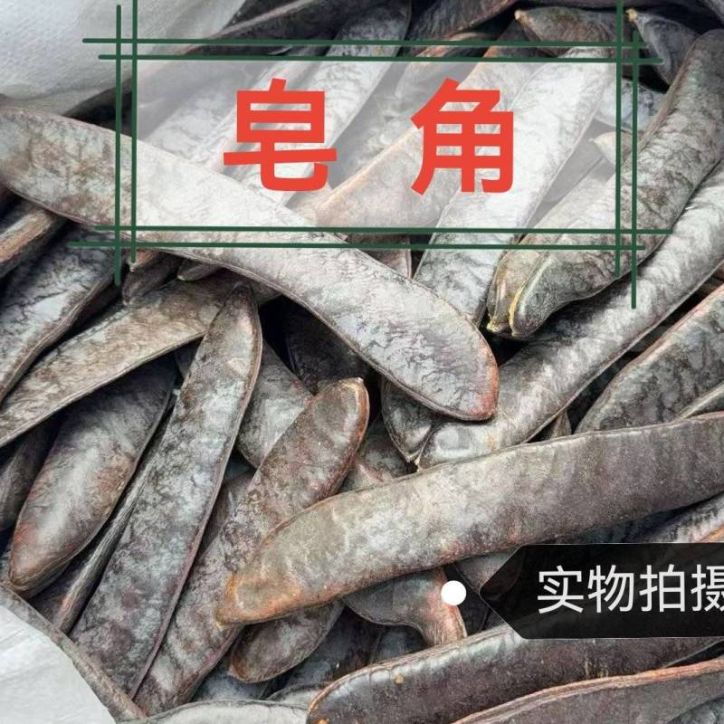 皂角中药材正宗皂角干皂角粉大皂角真材实料