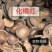 化橘红化州橘红中药材经营诚信经营合作共赢