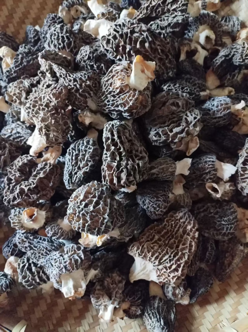 祺怡羊肚菌干货零售品质保证诚信经营欢迎咨询下单