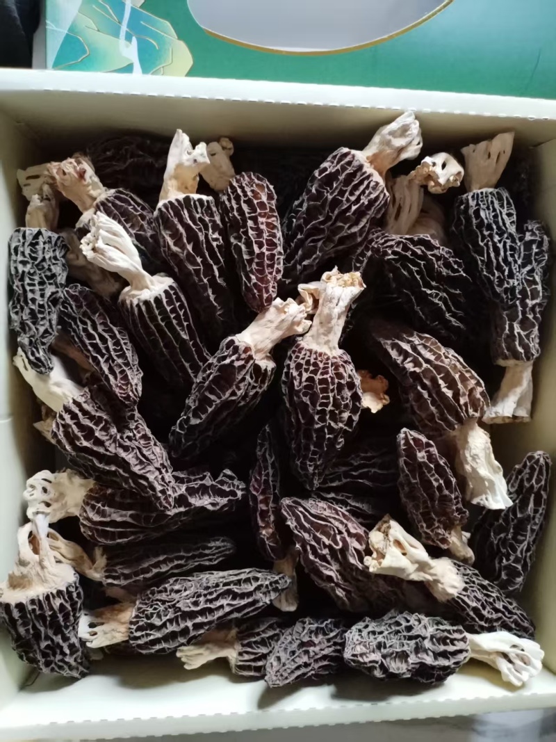 祺怡羊肚菌干货零售品质保证诚信经营欢迎咨询下单