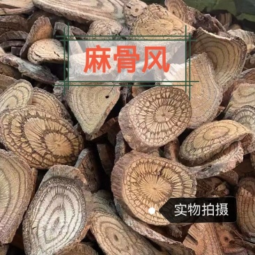 买麻藤中药材正品麻骨风无硫正品中药材买麻藤