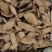 买麻藤中药材正品麻骨风无硫正品中药材买麻藤