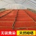 宁夏正品枸杞红枸杞子干吃泡水泡茶新货枸杞批发零售
