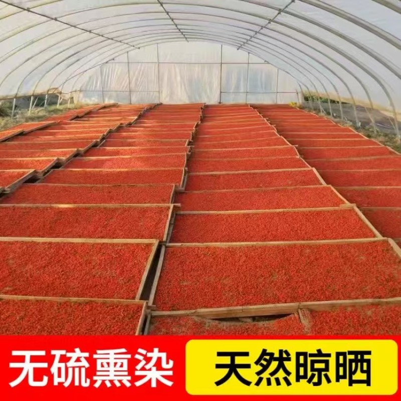 宁夏正品枸杞红枸杞子干吃泡水泡茶新货枸杞批发零售