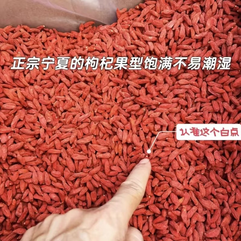 宁夏正品枸杞红枸杞子干吃泡水泡茶新货枸杞批发零售