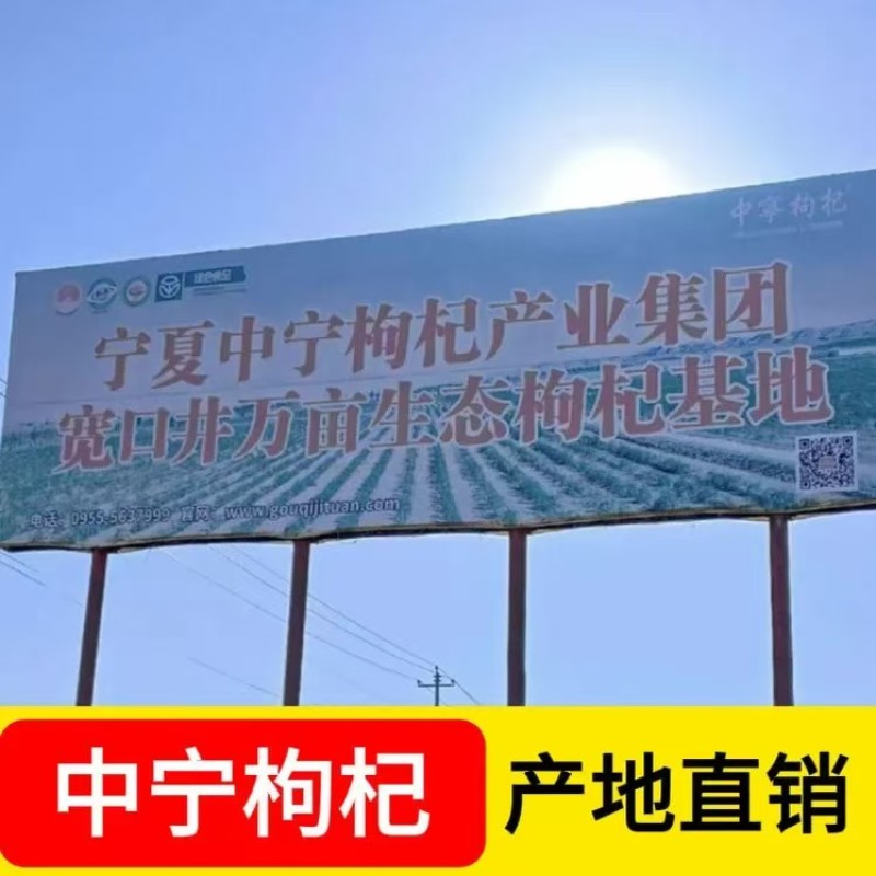 宁夏枸杞大颗粒新货红枸杞大量批发货源充足规格齐全