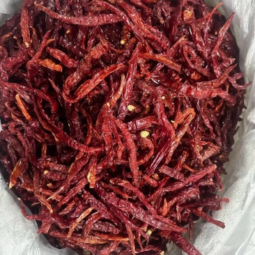 二荆条，一手货源，支持视频看货大宗批发可提供食品安全检
