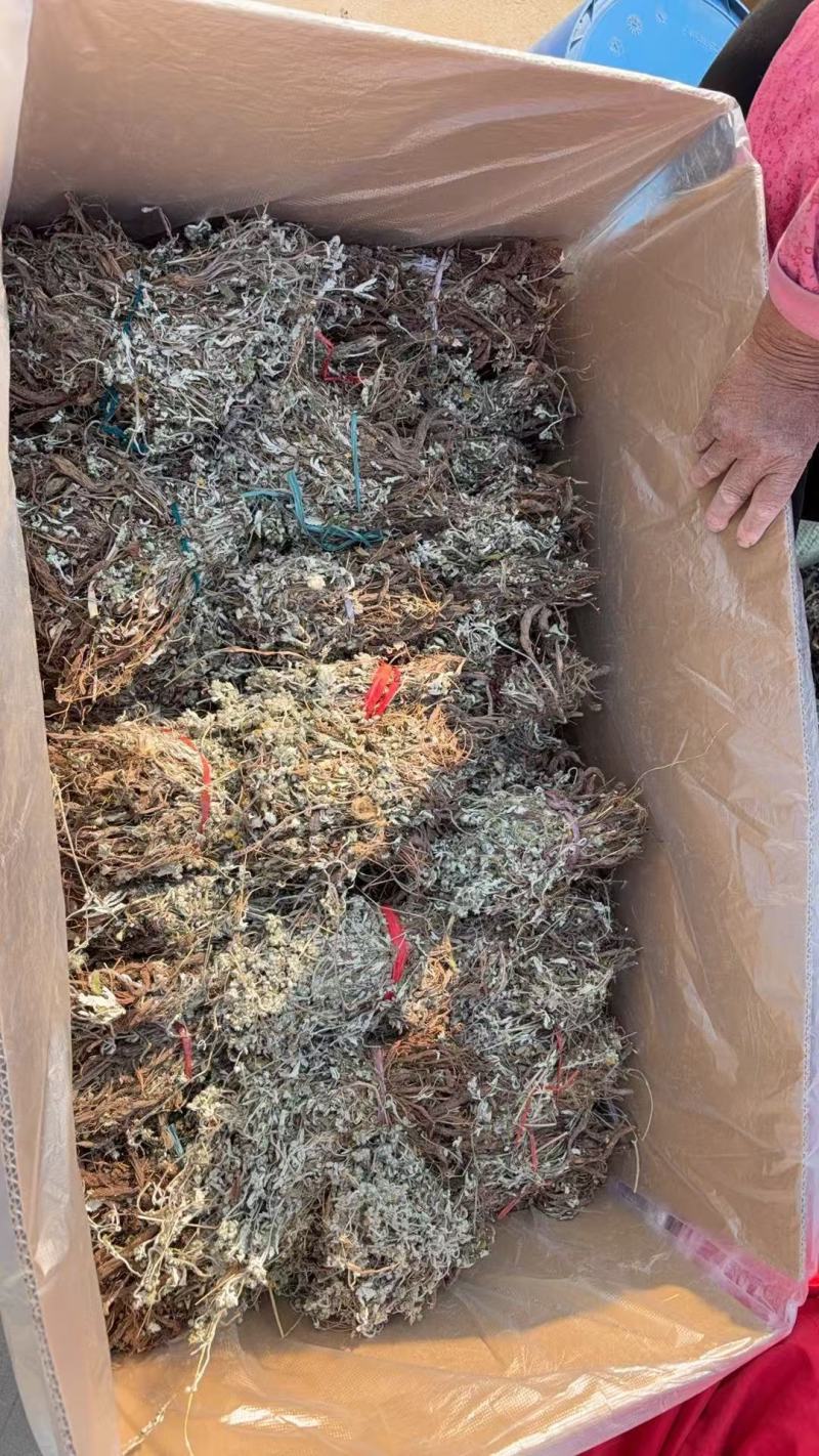 箱装翻白草