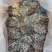 箱装翻白草