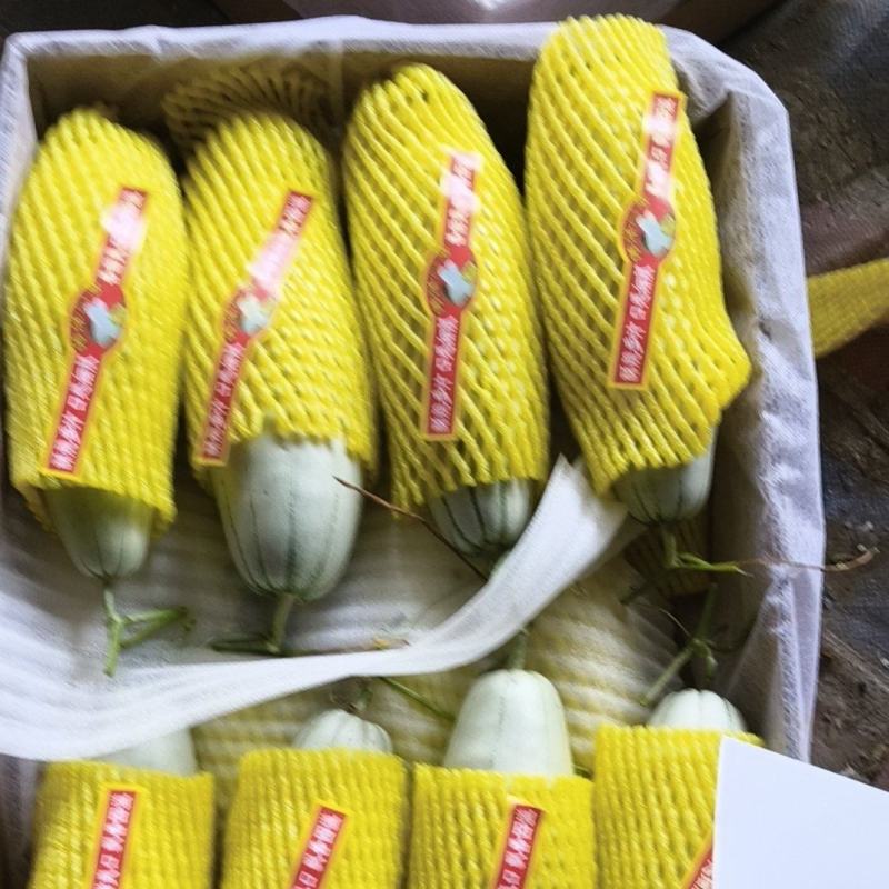 博洋六一，博洋九号，玉菇，蜜露，绿宝，花美人，小电话