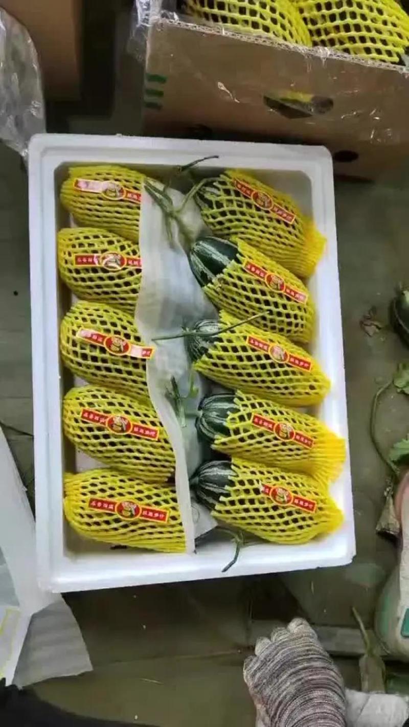 博洋六一，博洋九号，玉菇，蜜露，绿宝，花美人，小电话