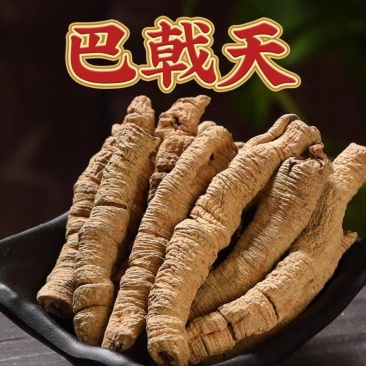 广东德庆巴戟干新鲜干货正品各种等级货批发零售德庆直发