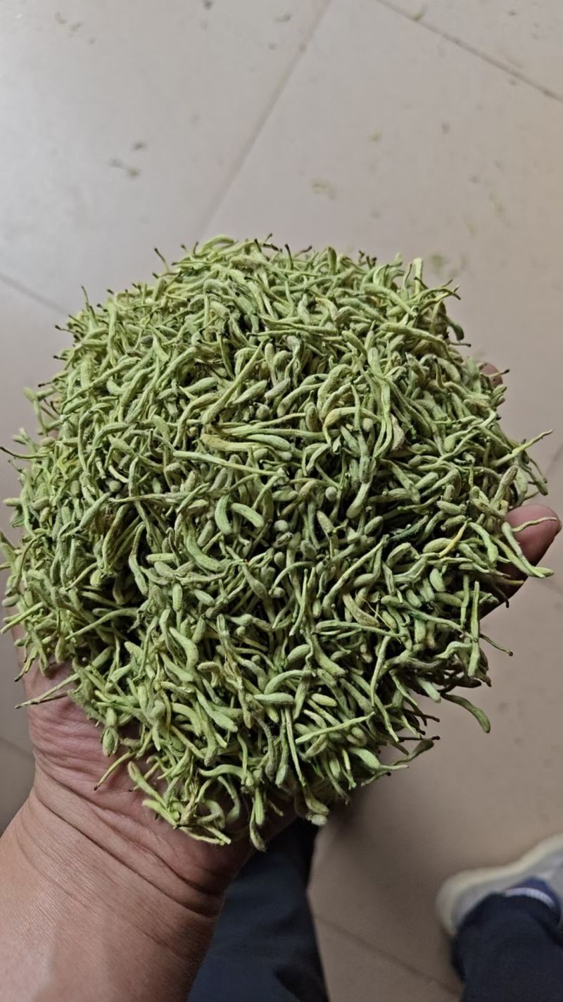 金银花四季金银花
