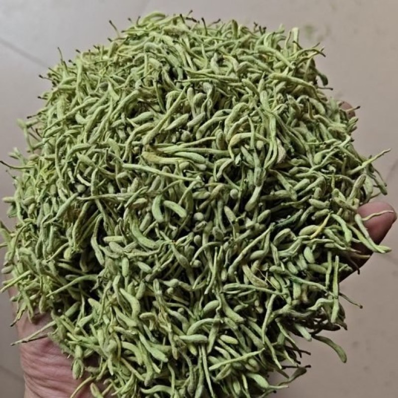 金银花四季金银花