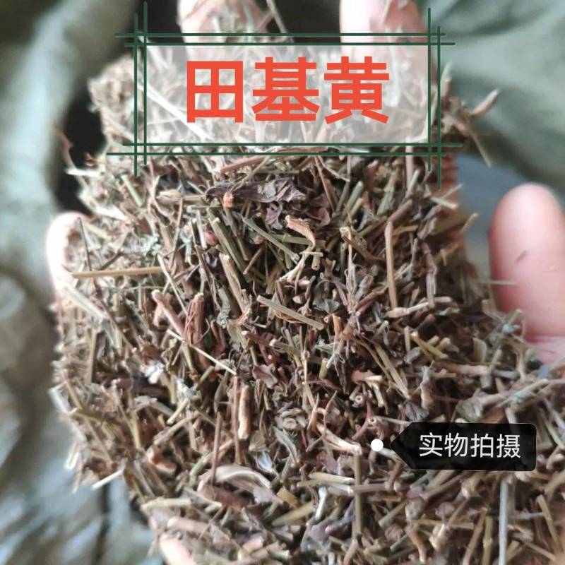 田基黄中药材整棵切片无硫正品田基黄品质保证