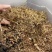 田基黄中药材整棵切片无硫正品田基黄品质保证