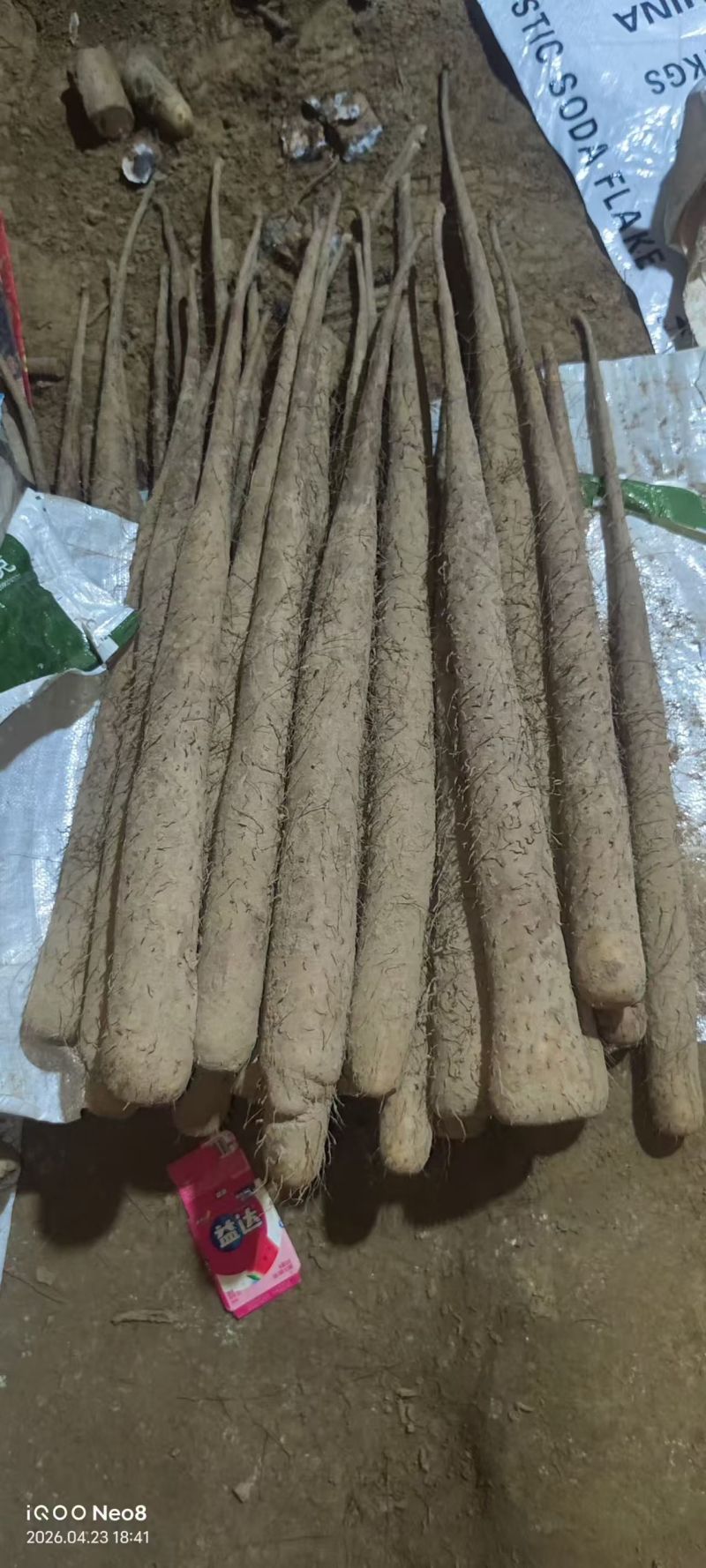 铁棍山药