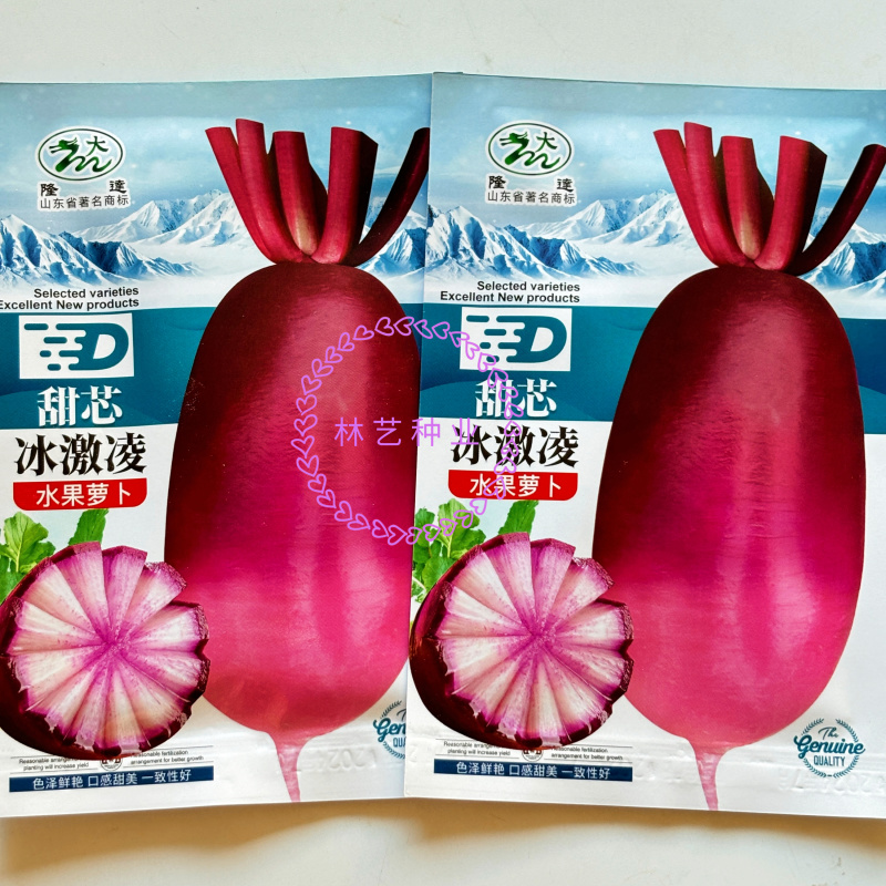 甜芯冰激凌水果萝卜种子甜脆可生吃水果萝卜种子春夏秋播四季
