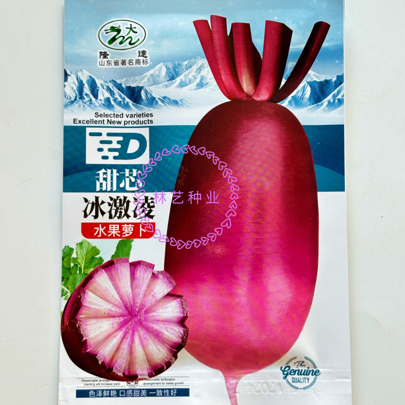 甜芯冰激凌水果萝卜种子甜脆可生吃水果萝卜种子春夏秋播四季