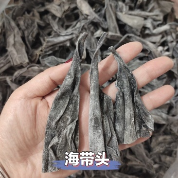霞浦海带小头，量大可聊