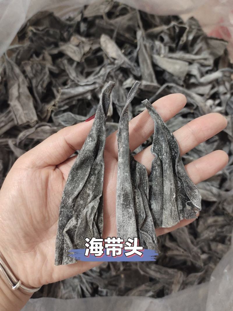 霞浦海带小头，量大可聊