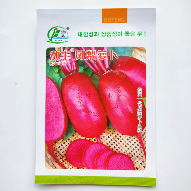 渤丰凤梨萝卜种子口感酥脆品质优良肉质细腻多汁原装正品蔬菜