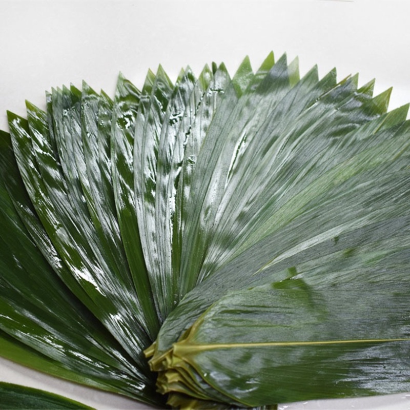 新鲜粽叶