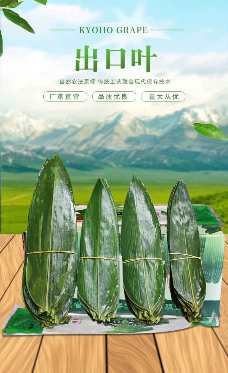 新鲜粽叶