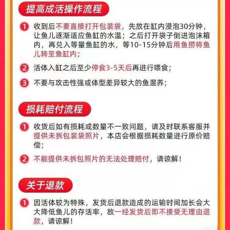 红鲤鱼苗观赏鱼淡水养殖荷包兴国红鲤鱼好养耐活鱼缸观赏小鱼