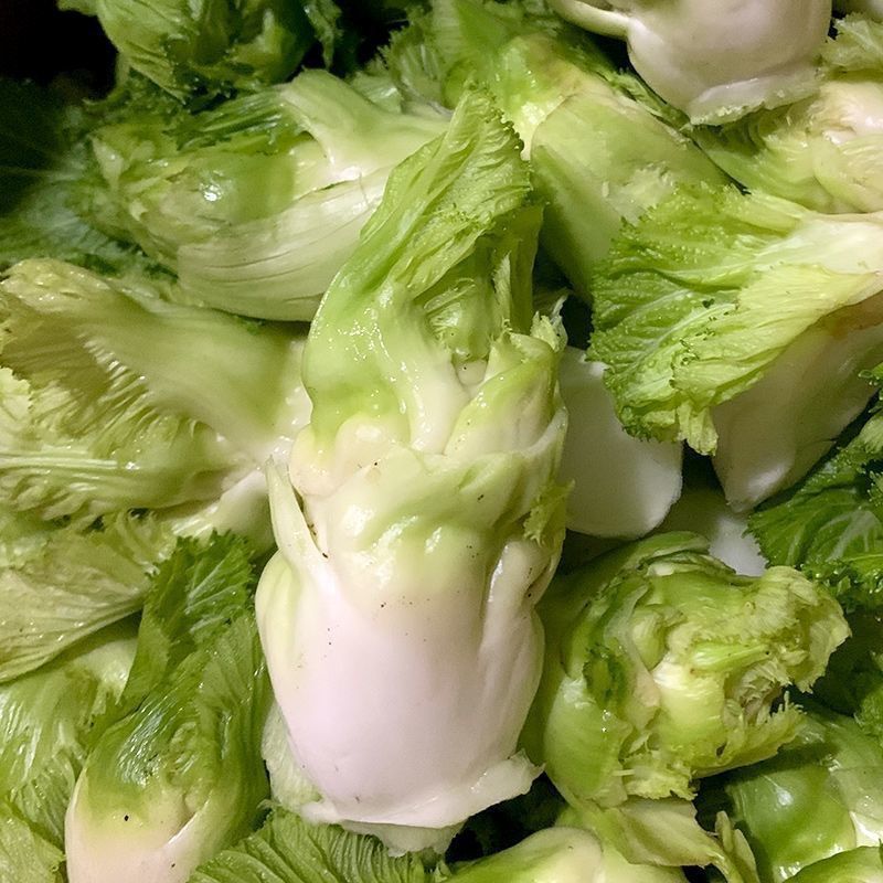 儿喜多多菜种子脆儿芽早熟大头菜秋冬娃娃青菜榨菜