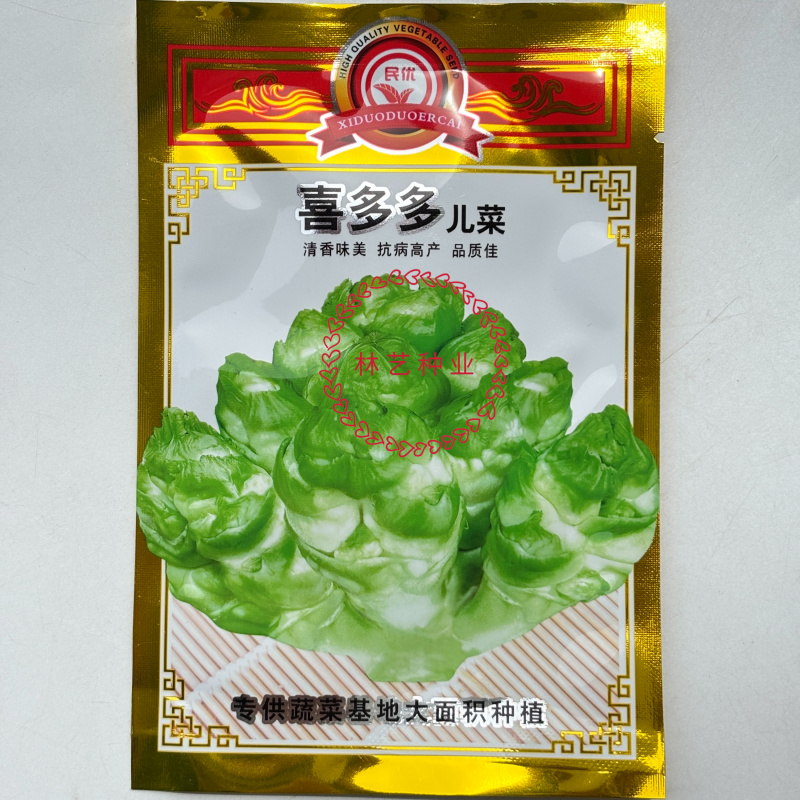 儿喜多多菜种子脆儿芽早熟大头菜秋冬娃娃青菜榨菜